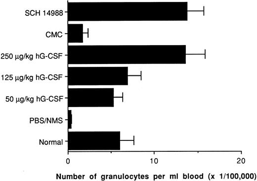 Fig. 7. The effect of in vivo SCH 14988 treatment on blood neutrophil levels is similar to that of hG-CSF treatment in CY-dosed mice. BALBc/J were dosed with CY on day 0 (except for normal, age-matched) and daily administration with hG-CSF or SCH 14988 begun on day 1. Mice were sacrificed on day 6 and analyzed as described in Fig 4 legend. Data represent mean ± SEM and are representative of three separate experiments. The differences between the PBS/NMS and G-CSF treatment groups, and between the CMC and SCH 14988 treatment groups is statistically significant at P < .01 as determined by the Students' t-test. The differences between the SCH 14988 and the 50- and 125-μg/kg human G-CSF treatment groups are also statistically significant at P < .05. Cytological examination confirmed that granulocytes were exclusively segmented neutrophils.