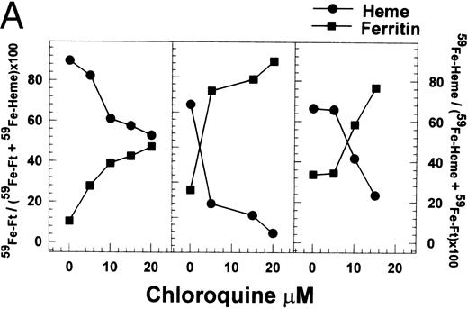 Fig. 4. Effect of chloroquine on intracellular radioiron distribution. Cells were labeled with 59Fe-labeled human diferric transferrin during the first 6 days of phase II (EPO-dependent phase, see Materials and Methods), then washed, and reincubated in fresh nonradioactive medium containing different concentrations of chloroquine. On day 9 of phase II, cells were harvested and lysed. (A) Results obtained by ferritin immunoprecipitation and heme extraction of three individual experiments obtained from cultures of three different normal donors. (B) Cell lysates were separated by SDS-PAGE followed by phosphor-imaging. Human placental ferritin and Hb were used as standards (not shown). Lane 1, 6 days in phase II, before treatment. Lanes 2 to 5, 9 days in phase II, chloroquine at 0, 5, 10, and 15 μmol/L, respectively.