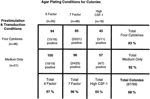Fig. 3. MDR1-positive colonies from different transduction medium and plating conditions. The transduction results from a group of 99 hematopoietic colonies, previously described in Fig 2, is shown here in grid format. The colonies are divided into transduction conditions, four cytokines or in medium alone, along the vertical axis. Cells are then further divided, along the horizontal axis, into the colony assay conditions in which they were grown, HPP-CFC (6 or 7 factor) and high–CSF-1. The number of colonies in each group appears in parentheses. The percent positive is listed in bold in each section. This illustrates the efficient transfer of the vector into the HPP-CFC regardless of transduction conditions or plating assay; colonies are 83% to 97% positive. Interestingly, both transduction conditions resulted in lower transfer into the macrophage colonies; 45% were positive from the four cytokine transductions and 57% were positive from the transduction in medium alone.