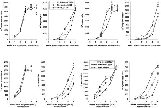 Fig. 2. Expansion of BMC from NTG and rCD44v4-v7 TG donors in the syngeneic and the allogeneic host. Lethally irradiated (850 R) syngeneic C57BL/6 and irradiated (300 R) allogeneic BALB/c SCID mice were reconstituted with 5 × 106 BMC from NTG or from rCD44v4-v7 TG C57BL/6 mice. The reconstituted mice received either 200 μg control (3-9) or anti-rCD44v6 (1.1ASML) IgG1, IV. Injections of IgG1 were repeated twice per week. Mice were killed after 1 to 6 weeks. The numbers of cells (mean ± SD) in central and peripheral lymphoid organs of 3 mice/group are shown; significant differences between NTG and TG BMC (P ≤ .01) are indicated by an asterisk.