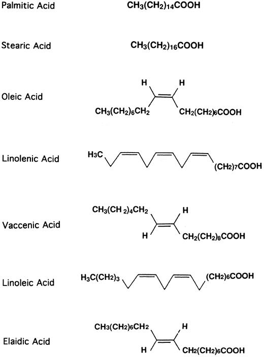 Fig. 4. Chemical structure of fatty acids.