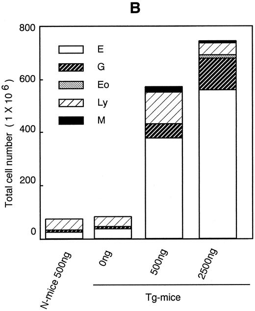 Fig. 3. Dose-response effects of hGM-CSF on weight of spleen (A), numbers of constituent cells (B), and hematopoietic progenitors assayed by methylcellulose clonal culture (C) in spleen of Tg-mice.