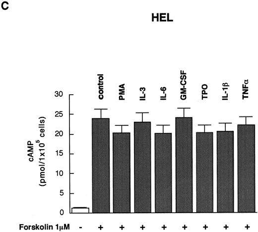 Fig. 5. Induction of cAMP synthesis by iloprost or forskolin and the effect of the pretreatments on the synthesis in HEL or NS-Meg cells. Each value (mean ± SE, n = 3) shows the amount of cAMP synthesized by 1 × 105 cells. Cells were first preincubated with PMA or respective cytokines for 24 hours, then incubated in a 24-well microplate (1 × 105 cells/well) in 500 μL of RPMI 1640 containing 0.5 mmol/L 3-isobutyl-1-methylxanthine and 0.1% BSA at 37°C for 10 minutes and then iloprost or forskolin was added to each well. Incubation was continued for another 30 minutes. (A) and (B) Addition of iloprost increased significantly (**, P < .001) the synthesis of cAMP in each cell line. Addition of iloprost to the cells that had been preincubated for 24 hours with PMA or cytokines further increased (**, P < .001) cAMP synthesis as compared with the untreated cells of each cell line. The pretreatments with the cytokines (without iloprost) yielded no significant increase of cAMP in the cells from each cell line compared with nontreated cells (data not shown). (C) Forskolin increased cAMP synthesis without significant difference between PMA- or cytokine-pretreated cells and nontreated ones (control).