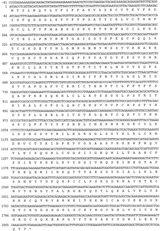 Fig. 1. Nucleotide sequence and predicted amino acid sequence of the opened reading frame of the cDNA in λMFXI-1. The nucleotide numbering system starts at the ATG triplet coding for the initiator methionine residue of the leader peptide.