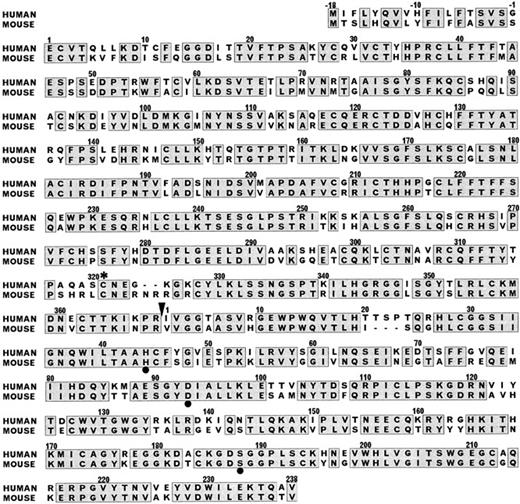 Fig. 2. Comparison of the amino acid sequences of human and murine factor XI. The amino acid numbering system used is for human factor XI.17 Amino acids −18 to −1 represent the leader peptide and the N-terminal heavy chain is numbered 1-369. The C-terminal catalytic light chain is numbered 1-238 and begins immediately after the heavy chain sequence. Alignment required the insertion of one gap in the human factor XI sequence after amino acid 325 of the heavy chain and one gap in the murine sequence after amino acid 20 of the light chain. The black arrowhead after Arg369 of the heavy chain designates the factor XIIa and thrombin activation cleavage site. The positions of the serine protease catalytic triad of His, Asp, Ser in the light chain are designated by black circles. The asterisk (*) designates the cystine residue at position 321 of the heavy chain involved in the disulfide bond connecting the two polypeptides of the homodimer. Amino acid positions with identical residues are enclosed in the shaded boxes.