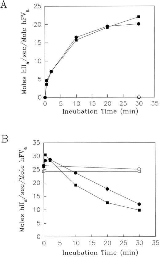Fig. 1. The effect of HNE on the cofactor activity of Factor V and Va. Purified human F.V (A), and F.Va (B), (600 nmol/L) were incubated at 37°C with purified HNE (2 nmol/L in A; 60 nmol/L in B) in HBS, pH 7.4, 5 mmol/L CaCl2 and 3.0 μmol/L DAPA (•) or with 50 μmol/L PCPS (▪). Control incubation mixtures for both F.V (A) and F.Va (B) in the absence of HNE with (□) or without (○) the addition of PCPS vesicles are shown. At the times indicated, aliquots were withdrawn and HNE activity was quenched with 10.0 μmol/L AAPV-CMK in HBS, pH 7.4 containing 0.1% BSA and 500 μmol/L PCPS. F.Va cofactor activity was then determined using 1.4 μmol/L prothrombin and 5.0 nmol/L F.Xa in the prothrombinase assay (see Materials and Methods). The results shown are expressed as initial rates of mol thrombin (hIIa) generated per second per mole hF.Va.