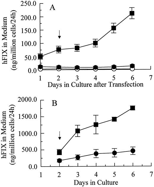 Fig. 2. hFIX production in culture by muscle cells carrying pdLMe4βAhIXm1 and LIXSN. (A) Transient expression of hFIX by muscle cells transfected with pdLMe4βAhIXm1 (▪), LIXSN (•), and pSV2Neo (○). Medium was collected every 24 hours for ELISA and replaced with fresh medium. Arrow indicates the differentiation initiation time point. Vertical bars are standard deviations of triplicated assays. (B) Stable expression of hFIX. (▪) indicates pdLMe4βAhIXm1; (•), LIXSN. Results shown are averages of three independent experiments with standard deviations shown in vertical bars. Signals in ELISA from cells transduced with BAG were subtracted as background from the results. The others are the same as described for transient assay (A).