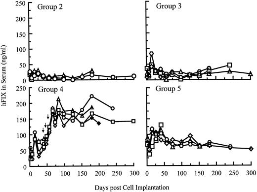 Fig. 6. hFIX levels in the systemic circulation of SCID mice after intramuscular implantation of myoblasts carrying pdLMe4βAhIXm1 or LIXSN. The background ELISA signals obtained from group 1 (control group) mice, which were injected with 2 × 107 myoblasts transduced with BAG, were subtracted from the observed levels of other groups. Group 2 mice were injected with 2 × 107 myoblasts transduced with LIXSN. On day 0, group 3, group 4, and group 5 animals were injected with 5, 10, and 20 × 106 myoblasts stably transfected with pdLMe4βAhIXm1, respectively. Mice in group 4 were injected with additional cell doses (1, 1, and 2 × 107 cells, respectively) on days 43, 52, and 59 as shown with arrows. Results from individual animals in each group were shown.
