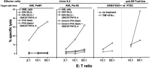 Fig. 3. Specific cytotoxic activity of T-cell clone 6.2 against leukemic cells. Patients no. 1 and 2 are leukemia patients with AML-M1 designation. EBV-BLCL and PHA blasts were also tested after culturing with GM-CSF (800 U/mL) + TNF-α (50 U/mL) + IL-4 (500 U/mL) for 72 hours. Adherent PTEC were prepared as targets as indicated in Materials and Methods. Percent specific release of target cells was determined in 4-hour standard Cr release assays.