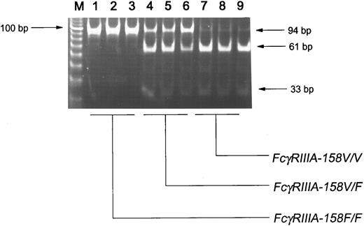 Fig. 1. NlaIII restriction analysis of the 94-bp FcγRIIIA-specific fragment, containing the polymorphic nucleotide 559. A 1.2-kb FcγRIIIA-specific fragment was amplified from genomic DNA, followed by a nested PCR. The sense primer of this nested PCR contained a mismatch that introduced a NlaIII restriction site only in the FcγRIIIA-158V (559G) allele. Homozygous FcγRIIIA-158FF fragments were not digested (lanes 1 through 3). Three bands (94 bp, 61 bp, and 33 bp) were visible in heterozygous individuals, whereas homozygous FcγRIIIA-158VV fragments were maximally digested (lanes 7 through 9). A 92-bp fragment of low intensity remained in homozygous 559G fragments (lanes 7 through 9).