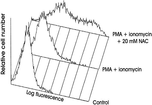 Fig. 1. NAC increases membrane TNFα expression on human stimulated T cells. Membrane TNFα expression was determined by FACS analysis on human PB T cells unstimulated or stimulated for 16 hours with PMA plus ionomycin without or with 20 mmol/L NAC.