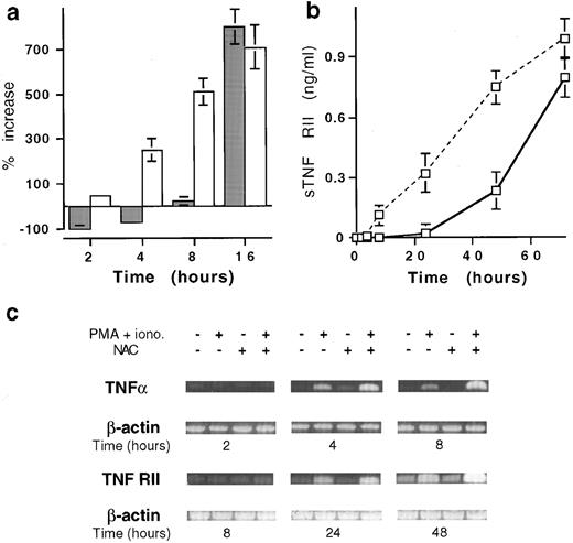 Fig. 3. Effect of NAC on the mRNA and soluble versus membrane form expression of TNFα and TNF-RII. (a) Kinetics expression of membrane and soluble TNFα by T cells stimulated with PMA plus ionomycin in the presence of 20 mmol/L NAC. Membrane TNFα (□) is expressed in percent of increase of MFI values and TNFα production (▪) in percent of increase or decrease of TNFα release (mean ± SD, n = 6). (b) Soluble TNF-RII was determined on T cells stimulated for 48 hours with PMA plus ionomycin in the presence (solid line) or the absence (dashed line) of 20 mmol/L NAC. Results are expressed in pg/mL (mean ± SD, n = 6). (c) Kinetics analysis of TNFα and TNF-RII mRNA expression by stimulated T cells in the presence of 20 mmol/L NAC. T cells were stimulated for the indicated time and TNFα, TNF-RII, and β-actin mRNA expression was determined by PCR.