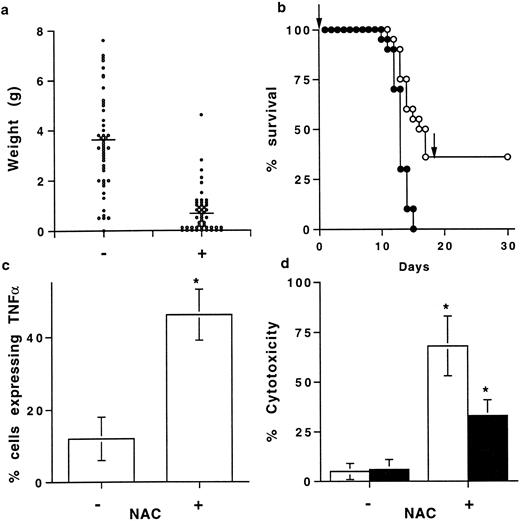Fig. 5. NAC prevents in vivo tumoral development. (a) Tumor weight in mice treated orally with 5 g/L NAC. B6D2F1 mice were injected with L1210 cells, treated (+) or not (−) with NAC, and the tumor weight, determined at day 11, was expressed in g (mean ± SEM, n = 50). Bars represent the mean weight. (b) Survival of mice injected with L1210 and treated (•) (n = 50) or not (○) (n = 50) with NAC. Results are expressed in percent of animal survival. Arrows represent the time of L1210 cell injection. (c) Effect of NAC on membrane TNFα expression by cells from the tumors. Membrane TNFα was determined by FACS on cells from the tumors from mice treated (+) or not (−) with NAC. Results are expressed as a percentage of cells expressing membrane TNFα (mean ± SD, n = 5). *Means P < .05. (d) Cytotoxic activity of PFA-fixed spleen cells from NAC-treated mice (+) and not treated mice (−) was determined against L1210, in the presence (▪) or not (□) of a neutralizing anti-TNFα Ab. Results are expressed in percent of cytotoxicity (mean ± SD, n = 8). *Means P < .05.