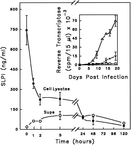 Fig. 1. Kinetics of SLPI interaction with monocytes in the presence of virus. Adherent monocytes were incubated with SLPI in the presence of HIV-1Ba-L for 1 hour at 37°C. (Equivalent results were found using either 5 or 10 μg/mL SLPI; data shown were obtained with 10 μg/mL SLPI.) Cells were washed 3 times with PBS and cultured in DMEM complete medium. At designated times, supernatants were removed, cells were solubilized, and both supernatant (○) and cell lysates (•) were assayed for the presence of SLPI using a SLPI ELISA (background of assay < 100 pg/mL). The time course starts immediately after the 1-hour incubation and is indicated by the zero time point. In parallel (inset), monocytes were infected in the absence (▵) or presence of SLPI 5 μg/mL (▴) or left uninfected (▪ □) and the culture supernatants were monitored for virus by RT activity for 20 days. Values are the mean ± SD; n = 3.