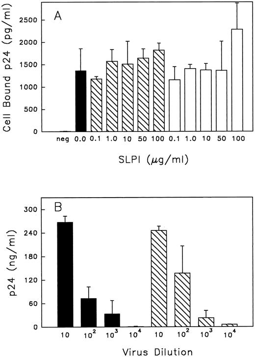Fig. 7. (A) Binding of HIV-1 to monocytes with or without SLPI. Monocytes were either pretreated with SLPI (▧) or DMEM (▪) for 30 minutes at 37°C and then virus was added, or alternatively, virus + SLPI was added to cells concurrently (□) for 30 minutes at 37°C. Cells were washed twice with PBS and resuspended in 0.5% Triton X-100, and cell-bound virus was assayed by p24 ELISA. The negative control (neg) was cells with no virus or SLPI added. Values are the mean ± SD; n = 4. (B) Virus titer produced from cells treated with SLPI. Monocytes infected with HIV-1Ba-L 1 hour in the absence or presence of SLPI 5 μg/mL were cultured for 18 days. Virus from the culture medium on day 18 was collected and titrated in fresh monocytes. For titration, virus was initially equalized based on RT values. Viral titers are from SLPI-treated cells (▧) or untreated cells (▪). Final dilution of virus is indicated under each bar. p24 values are the mean ± SD (n = 3) from day 21 postinfection.