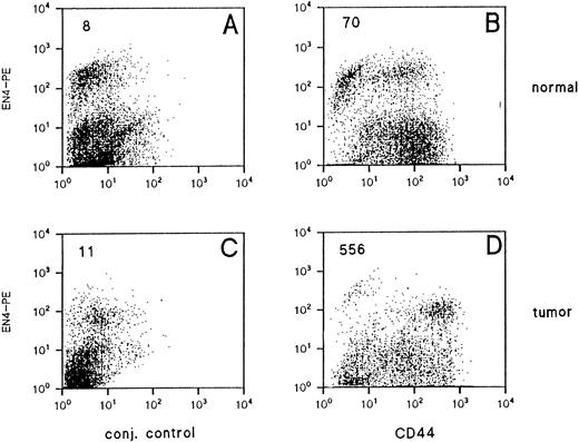 Fig. 1. CD44 expression on normal renal tissue and RCC derived endothelial cells. Freshly isolated adherent cells of normal renal tissue (A and B) and RCC (C and D) were analyzed flow cytometrically and gated on EC FSC/SSC. Cells were stained with the NKI-P1 anti-CD44 (horizontal axis) antibody and counterstained with the EN4 EC-marker (vertical axis). Left panels represent conjugate controls. Mean fluorescence intensities of the endothelial cell subset is given in the upper right corner. The data of this patient are also given as RCC #7 in Table 1.