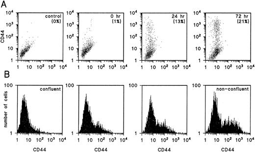 Fig. 3. CD44 is an activation marker on human EC. HUVEC do not express CD44 immediately after isolation. Plating and culture of these cells results in the expression of CD44 on a subset of EC (A). Cells grown to confluence lose their membrane CD44 while plating them at low confluence induces CD44 expression again (B).