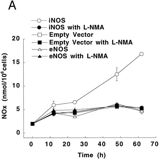 Fig. 3. NO−2 and NO−3 (NOx ) accumulation in transfected U937 cells. (A) Undifferentiated U937 cells without or with L-NMA (1 mmol/L; n = 3). (B) PMA-differentiated U937 cells without or with L-NMA (500 μmol/L). Cell-free supernatant was collected at 24 hours for measurement of NO−2 and NO−3 (n = 5). (C) Effects of PMA and LPS on NO−2 and NO−3 accumulation at 24 hours (see Materials and Methods; n = 3). All data are means ± SE.