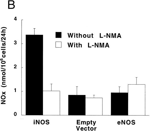 Fig. 3. NO−2 and NO−3 (NOx ) accumulation in transfected U937 cells. (A) Undifferentiated U937 cells without or with L-NMA (1 mmol/L; n = 3). (B) PMA-differentiated U937 cells without or with L-NMA (500 μmol/L). Cell-free supernatant was collected at 24 hours for measurement of NO−2 and NO−3 (n = 5). (C) Effects of PMA and LPS on NO−2 and NO−3 accumulation at 24 hours (see Materials and Methods; n = 3). All data are means ± SE.