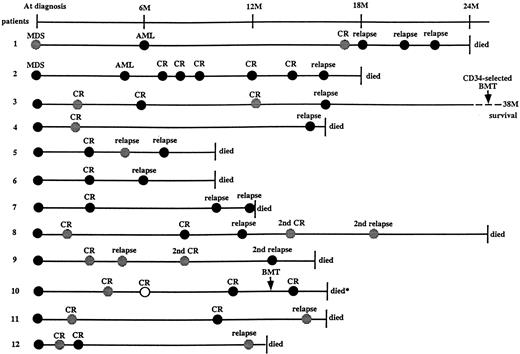 Fig. 2. Consistent detection of the TLS/FUS-ERG chimeric transcripts by RT-PCR in the sequential samples of 12 patients with t(16; 21)-AML at various clinical stages. The top line indicates a time scale to represent the lapsed months after initial diagnosis. (•) Indicate chimeric transcripts were detectable; (○) indicate chimeric transcripts undetectable; and () represent the actual time of diagnosis, first or second CR or relapse, but the sample was not available. The clinical stages are indicated by CR or relapse above the circles. Dashed line represents the patient is alive, and the survival duration is indicated at end (patient 3). *Died of complications after BMT (patient 10). The chimeric transcripts were consistently detectable not only in the samples available at diagnosis or in relapse, but also in all of the samples during CR except one from patient 10.