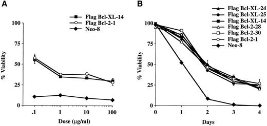 Fig. 2. Viability of FL5.12 clones expressing Flag-Bcl-2 or Flag-Bcl-XL after vinca alkaloid treatment. (A) Cells were seeded at 1 × 105 cells/mL in triplicate wells in media containing IL-3 and increasing concentrations of vincristine. Cells were lysed at 72 hours in a hypotonic buffer containing propidium iodide (PI) (0.01 mg/mL) and the percent of nuclei with fragmented DNA was determined by flow cytometric analysis. Viability (percent of cells with nonapoptotic nuclei) is shown as the mean ± SD of triplicate cultures. No statistical significance was found between Flag-Bcl-2 and Flag-Bcl-XL clones at each concentration of drug (P < .05, Student's t-test). The graph shown is representative of at least two separate experiments. (B) Cell viability was determined as above at each time point following continuous incubation in media containing IL-3 and 10 μg/mL of vincristine. Cells were seeded at 1 × 105 cells/mL in triplicate wells and lysed in a hypotonic buffer containing propidium iodide (0.01 mg/mL). Viability (percent of cells with nonapoptotic nuclei) is shown as the mean ± SD of triplicate cultures. No statistical significance was found between Flag-Bcl-2 and Flag-Bcl-XL clones at each time point (P < .05, Student's t-test). The graph shown is representative of at least two separate experiments. (C) Cells were seeded at 1 × 105 cells/mL in triplicate wells in media containing IL-3 and increasing concentrations of vinblastine. Cells were lysed at 72 hours in a hypotonic buffer containing propidium iodide (0.01 mg/mL) and the percent of nuclei with fragmented DNA was determined by flow cytometric analysis. Viability (percent of cells with nonapoptotic nuclei) is shown as the mean ± SD of triplicate cultures. No statistical significance was found between Flag-Bcl-2 and Flag-Bcl-XL clones at each concentration of drug (P < .05, Student's t-test). The graph shown is representative of at least two separate experiments. (D) Cell viability was determined as above at each time point following continuous incubation in media containing IL-3 and 10 μg/mL of vinblastine. Cells were seeded at 1 × 105 cells/mL in triplicate wells and lysed in a hypotonic buffer containing propidium iodide (0.01 mg/mL). Viability (percent of cells with nonapoptotic nuclei) is shown as the mean ± SD of triplicate cultures. No statistical significance was found between Flag-Bcl-2 and Flag-Bcl-XL clones at each time point (P < .05, Student's t-test). The graph shown is representative of at least two separate experiments. The percentage of apoptotic nuclei was determined at different time points in triplicate cultures by nuclear PI staining followed by flow cytometric analysis. In this assay, the nuclei of apoptotic cells exhibit a sub-G0 profile characteristic of DNA fragmentation. Percentage of nonapoptotic nuclei is expressed as viability. Analysis was performed using Lysis II software (Becton Dickinson, San Jose, CA) on a FACScan flow cytometer. Results were based on the analysis of at least 5 × 104 events from each triplicate culture.