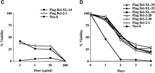 Fig. 2. Viability of FL5.12 clones expressing Flag-Bcl-2 or Flag-Bcl-XL after vinca alkaloid treatment. (A) Cells were seeded at 1 × 105 cells/mL in triplicate wells in media containing IL-3 and increasing concentrations of vincristine. Cells were lysed at 72 hours in a hypotonic buffer containing propidium iodide (PI) (0.01 mg/mL) and the percent of nuclei with fragmented DNA was determined by flow cytometric analysis. Viability (percent of cells with nonapoptotic nuclei) is shown as the mean ± SD of triplicate cultures. No statistical significance was found between Flag-Bcl-2 and Flag-Bcl-XL clones at each concentration of drug (P < .05, Student's t-test). The graph shown is representative of at least two separate experiments. (B) Cell viability was determined as above at each time point following continuous incubation in media containing IL-3 and 10 μg/mL of vincristine. Cells were seeded at 1 × 105 cells/mL in triplicate wells and lysed in a hypotonic buffer containing propidium iodide (0.01 mg/mL). Viability (percent of cells with nonapoptotic nuclei) is shown as the mean ± SD of triplicate cultures. No statistical significance was found between Flag-Bcl-2 and Flag-Bcl-XL clones at each time point (P < .05, Student's t-test). The graph shown is representative of at least two separate experiments. (C) Cells were seeded at 1 × 105 cells/mL in triplicate wells in media containing IL-3 and increasing concentrations of vinblastine. Cells were lysed at 72 hours in a hypotonic buffer containing propidium iodide (0.01 mg/mL) and the percent of nuclei with fragmented DNA was determined by flow cytometric analysis. Viability (percent of cells with nonapoptotic nuclei) is shown as the mean ± SD of triplicate cultures. No statistical significance was found between Flag-Bcl-2 and Flag-Bcl-XL clones at each concentration of drug (P < .05, Student's t-test). The graph shown is representative of at least two separate experiments. (D) Cell viability was determined as above at each time point following continuous incubation in media containing IL-3 and 10 μg/mL of vinblastine. Cells were seeded at 1 × 105 cells/mL in triplicate wells and lysed in a hypotonic buffer containing propidium iodide (0.01 mg/mL). Viability (percent of cells with nonapoptotic nuclei) is shown as the mean ± SD of triplicate cultures. No statistical significance was found between Flag-Bcl-2 and Flag-Bcl-XL clones at each time point (P < .05, Student's t-test). The graph shown is representative of at least two separate experiments. The percentage of apoptotic nuclei was determined at different time points in triplicate cultures by nuclear PI staining followed by flow cytometric analysis. In this assay, the nuclei of apoptotic cells exhibit a sub-G0 profile characteristic of DNA fragmentation. Percentage of nonapoptotic nuclei is expressed as viability. Analysis was performed using Lysis II software (Becton Dickinson, San Jose, CA) on a FACScan flow cytometer. Results were based on the analysis of at least 5 × 104 events from each triplicate culture.