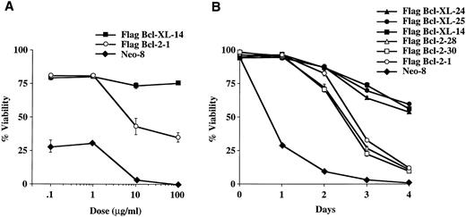 Fig. 3. Viability of FL5.12 clones expressing Flag-Bcl-2 or Flag-Bcl-XL after epipodophyllotoxin treatment. (A) Cells were seeded at 1 × 105 cells/mL in triplicate wells in media containing IL-3 and increasing concentrations of etoposide. Cells were lysed at 72 hours and analyzed by flow cytometry as described in Fig 2. A statistical significance was found between Flag-Bcl-2 and Flag-Bcl-XL clones at 10 and 100 mg/mL of drug (P < .001, Student's t-test). (B) Cell viability was determined each time point following continuous incubation in media containing IL-3 and 10 μg/mL of etoposide. Cells were seeded at 1 × 105 cells/mL in triplicate wells and analyzed by flow cytometry as described in Fig 2. A statistical significance was found between Flag-Bcl-2 and Flag-Bcl-XL clones at Days 3 and 4 (P < .001, Student's t-test). (C) Cells were seeded at 1 × 105 cells/mL in triplicate wells in media containing IL-3 and increasing concentrations of teniposide. Cells were lysed at 72 hours and analyzed by flow cytometry as described in Fig 2. A statistical significance was found between Flag-Bcl-2 and Flag-Bcl-XL clones at 1, 10, and 100 μg/mL of drug (P < .001, Student's t-test). (D) Cell viability was determined as above at each time point following continuous incubation in media containing IL-3 and 10 μg/mL of teniposide. Cells were seeded at 1 × 105 cells/mL in triplicate wells and analyzed by flow cytometry as described in Fig 2. A statistical significance was found between Flag-Bcl-2 and Flag-Bcl-XL clones at Days 2, 3, and 4 (P < .001, Student's t-test). Graphs shown in A, B, C, and D are the mean ± SD of triplicate cultures and representative of at least two separate experiments.