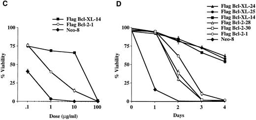 Fig. 3. Viability of FL5.12 clones expressing Flag-Bcl-2 or Flag-Bcl-XL after epipodophyllotoxin treatment. (A) Cells were seeded at 1 × 105 cells/mL in triplicate wells in media containing IL-3 and increasing concentrations of etoposide. Cells were lysed at 72 hours and analyzed by flow cytometry as described in Fig 2. A statistical significance was found between Flag-Bcl-2 and Flag-Bcl-XL clones at 10 and 100 mg/mL of drug (P < .001, Student's t-test). (B) Cell viability was determined each time point following continuous incubation in media containing IL-3 and 10 μg/mL of etoposide. Cells were seeded at 1 × 105 cells/mL in triplicate wells and analyzed by flow cytometry as described in Fig 2. A statistical significance was found between Flag-Bcl-2 and Flag-Bcl-XL clones at Days 3 and 4 (P < .001, Student's t-test). (C) Cells were seeded at 1 × 105 cells/mL in triplicate wells in media containing IL-3 and increasing concentrations of teniposide. Cells were lysed at 72 hours and analyzed by flow cytometry as described in Fig 2. A statistical significance was found between Flag-Bcl-2 and Flag-Bcl-XL clones at 1, 10, and 100 μg/mL of drug (P < .001, Student's t-test). (D) Cell viability was determined as above at each time point following continuous incubation in media containing IL-3 and 10 μg/mL of teniposide. Cells were seeded at 1 × 105 cells/mL in triplicate wells and analyzed by flow cytometry as described in Fig 2. A statistical significance was found between Flag-Bcl-2 and Flag-Bcl-XL clones at Days 2, 3, and 4 (P < .001, Student's t-test). Graphs shown in A, B, C, and D are the mean ± SD of triplicate cultures and representative of at least two separate experiments.