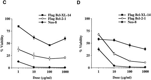 Fig. 4. Viability of FL5.12 clones expressing Flag-Bcl-2 or Flag-Bcl-XL after treatment with S-phase specific chemotherapy drugs. (A) Cells were seeded at 1 × 105 cells/mL in triplicate wells in media containing IL-3 and increasing concentrations of methotrexate. Cells were lysed at 72 hours and analyzed by flow cytometry as described in Fig 2. A statistical significance was found between Flag-Bcl-2 and Flag-Bcl-XL clones at 0.1, 1, and 10 mg/mL of drug (P < .001, Student's t-test). (B) Cell viability was determined as above at each time point following continuous incubation in media containing IL-3 and 1.0 μg/mL of methotrexate. Cells were seeded at 1 × 105 cells/mL in triplicate wells and analyzed by flow cytometry as described in Fig 2. A statistical significance was found between Flag-Bcl-2 and Flag-Bcl-XL clones at Days 3 and 4 (P < .001, Student's t-test). (C) Cells were seeded at 1 × 105 cells/mL in triplicate wells in media containing IL-3 and increasing concentrations of fluorouracil. Cells were lysed at 72 hours and analyzed by flow cytometry as described in Fig 2. A statistical significance was found between Flag-Bcl-2 and Flag-Bcl-XL clones at each concentration of drug (P < .001, Student's t-test). (D) Cells were seeded at 1 × 105 cells/mL in triplicate wells in media containing IL-3 and increasing concentrations of hydroxyurea. Cells were lysed at 72 hours and analyzed by flow cytometry as described in Fig 2. A statistical significance was found between Flag-Bcl-2 and Flag-Bcl-XL clones at 10, 100, and 1,000 μg/mL of drug (P < .001, Student's t-test). Graphs shown in A, B, C, and D are the mean ± SD of triplicate cultures and representative of at least two separate experiments.