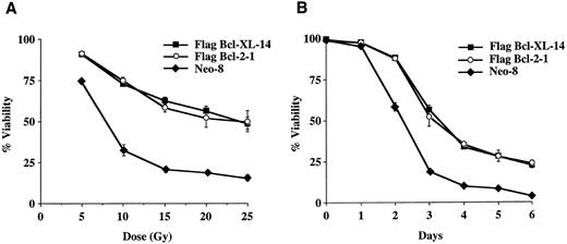 Fig. 5. Viability of FL5.12 clones expressing Flag-Bcl-2 or Flag-Bcl-XL after treatment with γ-irradiation. (A) Cells were seeded at 1 × 105 cells/mL in triplicate wells in media containing IL-3 following increasing doses of γ-irradiation. Cells were lysed at 72 hours and analyzed by flow cytometry as described in Fig 2. No statistical significance was found between Flag-Bcl-2 and Flag-Bcl-XL clones at each dose of γ-irradiation (P < .05, Student's t-test). (B) Cell viability was determined as above at each time point following γ-irradiation. Cells were seeded at 1 × 105 cells/mL in triplicate wells and analyzed by flow cytometry as described in Fig 2. No statistical significance was found between Flag-Bcl-2 and Flag-Bcl-XL clones at each time point (P < .05, Student's t-test). Graphs shown in A and B are the mean ± SD of triplicate cultures and representative of at least two separate experiments.