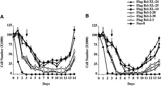 Fig. 6. Viability of FL5.12 clones expressing Flag-Bcl-2 or Flag-Bcl-XL after treatment with etoposide or methotrexate. (A) 1 × 105 cells were seeded in triplicate wells in media containing IL-3 and 10 mg/mL of etoposide. At each time point, cells were counted using trypan blue exclusion to assess viability. After 3 days of continuous incubation in etoposide, the cells were washed twice and replated in triplicate at the viable cell number for Day 3 in media containing IL-3. Arrow indicates time point at which the cells were washed and replated in drug-free media containing IL-3. A statistical significance was found between Flag-Bcl-2 and Flag-Bcl-XL clones at each time point after Day 1 (P < .01, Student's t-test). (B) 1 × 105 cells were seeded in triplicate wells in media containing IL-3 and 1.0 mg/mL of methotrexate. At each time point, cells were counted using trypan blue exclusion to assess viability. After 3 days of continuous incubation in methotrexate, the cells were washed twice and replated in triplicate at the viable cell number for Day 3 in media containing IL-3. Arrow indicates time point at which the cells were washed and replated in drug-free media containing IL-3. A statistical significance was found between Flag-Bcl-2 and Flag-Bcl-XL clones at each time point after Day 1 (P < .01, Student's t-test).