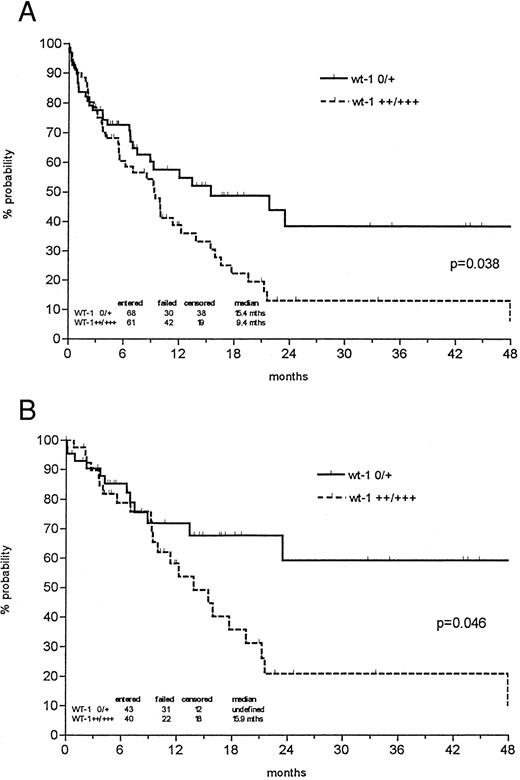 Fig. 3. Probability of overall survival in all newly diagnosed AML patients (A) and those less than 60 years of age (B) according to Kaplan-Meier calculation in relation to wt1 mRNA (no or weak v intermediate or strong) expression at time of diagnosis. Both de novo AMLs and AMLs with antecedent MDS were included. Patients undergoing allogeneic bone marrow transplantation (BMT) were censored at the time of BMT.