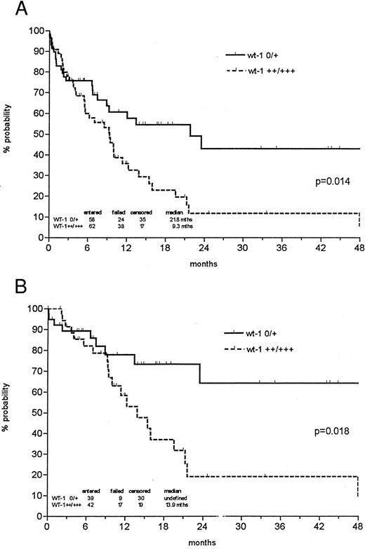 Fig. 4. Probability of overall survival of all de novo AML patients (A) and those less than 60 years of age (B) according to Kaplan-Meier calculation in relation to wt1 mRNA (no or weak v intermediate or strong) expression at the time of diagnosis. Patients undergoing allogeneic BMT were censored at the time of BMT.