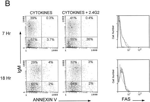 Fig. 2. Cytofluorimetric analysis of fas and Annexin-V on different bone marrow populations. Bone marrow cells (2 × 105/mL) were cultured 7 to 18 hours with rGM-CSF, rIL-3, and rIL-5 in the presence of 2.4G2 (25 μg/mL). Cells were stained with Gr-1 (PE) as a marker of the granulocyte population and with IgM (Cy5) as a marker of the lymphocyte population; Annexin-V (FITC) or fas (FITC) were added, and PI-positive cells were excluded in all experiments. A granulocyte gate and a lymphocyte gate were made based on the orthogonal and forward scatter. Fas expression was studied by comparing isotype-matched antibody (broken line), BM cells cultured in the presence of cytokines (thin line), and cells cultured with cytokines plus 2.4G2 (thick line). (A) Apoptotic analysis of the granulocytic cells. (B) Apoptotic analysis on the lymphocyte gate. The figure shows a representative experiment from 5 with similar results.