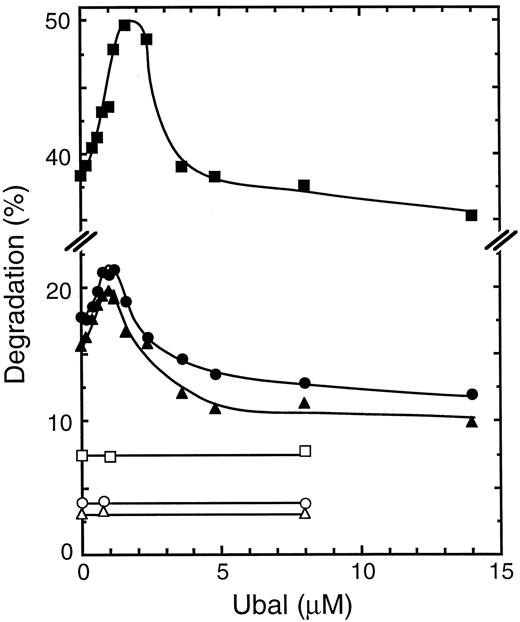 Fig. 1. Effect of Ubal on the proteolysis of human Hb α-subunits in a β-thalassemic lysate. Each reaction mixture was incubated at 37°C for 2 hours with a dialyzed hemolysate from the blood cells of a β-thalassemic donor (S.O.) and either 3H-α-globin (□, ▪) or 3H-α-chains, stabilized with CO (▵, ▴) or unexposed to CO (○, •), as a proteolysis substrate. Protein degradation values are plotted for mixtures without (unfilled symbols) or with ATP, an ATP-regenerating system, and supplementary Ub (filled symbols).