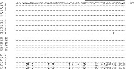 Fig. 1. Deduced amino acid sequence of the E1-E2 region (residues 337-410). The initials of patients and the number of each clone are indicated on the left. The horizontal line indicates the HVR1 region. The residues specific for genotypes 1a or 1b (clones LM 5, LM 8, and LM 3)13 are underlined.