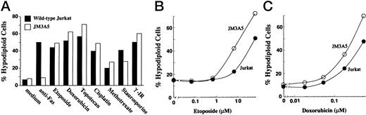 Fig. 4. JM3A5 cells are sensitive to a variety of chemotherapeutic agents. (A) Fas-resistant JM3A5 cells (□) or wild-type Jurkat cells (▪) were incubated with 7C11 anti-Fas (100 ng/mL, 3 hours), etoposide (34 μmol/L, 6 hours), doxorubicin (0.5 μmol/L, 24 hours), topotecan (0.1 μmol/L, 24 hours), cisplatin (1 μmol/L, 48 hours), methotrexate (100 nmol/L, 24 hours), staurosporine (1 μmol/L, 6 hours), or γ-irradiation (1,200 cGy, followed by a 24-hour incubation) at 37°C. After treatment, cells were stained with propidium iodide and analyzed by flow cytometry. The percentage of hypodiploid cells is graphed. (B and C) JM3A5 cells (○) and wild-type Jurkat cells (•) were treated with 0 to 68 μmol/L (0 to 40 μg/mL) etoposide for 6 hours (B) or 0 to 500 nmol/L (0 to 300 ng/mL) doxorubicin for 24 hours (C) at 37°C before propidium iodide staining and flow cytometry as described above.