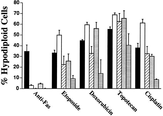 Fig. 5. Multiple Fas-resistant Jurkat sublines are sensitive to a variety of chemotherapeutic agents. The indicated cell lines were treated with 7C11 anti-Fas (100 ng/mL, 3 hours), etoposide (34 μmol/L, 6 hours), doxorubicin (0.5 μmol/L, 24 hours), topotecan (0.1 μmol/L, 24 hours), or cisplatin (1 μmol/L, 48 hours) at 37°C. DNA content was then determined by flow cytometry after propidium iodide staining. The percentage of hypodiploid cells (mean ± SD) observed in three independent experiments is graphed. (▪), wt Jurkat; (□), JM5A5; (▨), JM14A5; (▧), JM18A1; (▤), JM19A6.