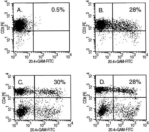 Fig. 2. Detection of NTP expression by FACS analysis in retrovirally transduced human primary T lymphocytes. On the X-axis, staining of the mutated LNGFR; on the Y-axis, staining of CD3 in (A), (B) and (E) through (H); CD4 in (C); and CD8 in (D). The PBMC were infected 10 days earlier with PG13 supernatant in (A) and with PG13/NTP6 supernatant in (B) through (D). In (E) through (H), the PBMC were infected with a 1:300, 1:3,000, 1:30,000, and 1:300,000 dilution of the concentrated 293gpg/NTP7 stock, respectively, and stained 10 days thereafter. The percentage indicated in the upper right quadrant is the percentage of NTP+ cells among the CD3+, CD4+, or CD8+ cells.