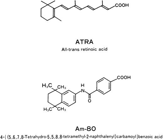 Fig. 1. Molecular structure of Am80 and ATRA.