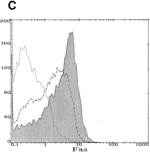 Fig. 2. IFN-γ induces fas expression in normal human CD34+ cells. (A) RT-PCR analysis of RNA obtained from cells exposed for 6 hours to various doses of IFN-γ are shown. Fas is expressed constitutively and mRNA increases slightly with all doses of IFN-γ tested except the highest which suppressed fas RNA. (B) Fas immunoblot: CD34+ cells were incubated in the absence (lane 1) or presence (lane 2) of IFN-γ for 6 hours. Each lane was loaded with 50 μg of protein from whole cell lysates. (C) Flow cytometry: Flow cytometric analysis of surface fas expression on CD34+ cells purified from normal BM. The horizontal axis illustrates linear fluorescence intensity, and the vertical axis indicates absolute cell number. The dotted line represents CD34+ cells cultured without IFN-γ exposed to the isotypic control antibody, the dot-dashed line shows fas expression in CD34+ cells cultured in the absence of IFN-γ. The shaded histogram indicates fas expression by CD34+ cells exposed to 100 ng/mL IFN-γ for 18 hours. Treatment of cells with 1,000 ng/mL IFN-γ yielded an identical histogram. (D) IFN-γ primes the fas pathway in human CD34+ cells. Results of one representative experiment (of three separate experiments) is shown. Human CD34+ cells exposed to various doses of IFN-γ for 60 minutes followed by exposure to antihuman fas monoclonal antibodies (“anti-fas,” ▪), or isotype control antibodies (“control,” □), for 3 hours were suspended in methylcellulose medium containing the same dose of IFN-γ. CFU-GM (not shown) and BFU-E (mean ± SD of triplicate plates) were counted on day 14 of culture. In the absence of IFN (control) BFU-E were 154 ± 14/5,000 CD34+ cells. Although IFN-γ suppresses clonal growth of normal BFU-E, the addition of anti-fas augments clonal inhibition by IFN-γ, particularly at IFN levels above 0.5 ng/mL.