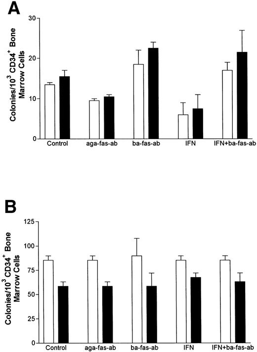 Fig. 4. (A) IFN-γ hypersensitivity and fas priming in progenitors from an FA-C child. All values represent mean clonal growth ± SD. Parallel studies with the same reagents were performed using BM CD34+ cells from a normal volunteer (B). Neither the agonistic nor the blocking anti-fas antibodies influence clonal growth of CD34+ cells from normal volunteers. IFN-γ (0.05 ng/mL) had no effect (nor has it had an effect in more than 15 separate studies in normal volunteers). As was the case in the FA mice, the fas pathway was primed in progenitors from the child. Specifically, the agonistic antibody suppressed clonal growth and the blocking antibody enhanced clonal growth of both CFU-GM (▪) and BFU-E (□). Moreover, both BFU-E and CFU-GM were suppressed by IFN-γ exposure and the suppressive effect of IFN-γ was blocked completely by the exposure of CD34+ cells to the blocking antihuman fas antibody. (C) IRF-1 mRNA is expressed constitutively by BM cells from an FA-C child. CD34+ low-density BM cells were exposed to IFN-γ at concentrations of 0.5 ng/mL (lanes 3, 6, and 9) and 50 mg/mL (lanes 4, 7, and 10) for 2 hours (lanes 2, 3, and 4), 6 hours (lanes 5, 6, and 7), and 24 hours (lanes 8, 9, and 10). Lane 1 is a zero time point control (RNA isolated at time zero with no IFN-γ exposure), and lanes 2, 5, and 8 are zero IFN-γ controls at 2, 6, and 24 hours, respectively. The upper set of lanes show IRF-1 amplification from CD34− BM cells from a normal volunteer, and the lower set of lanes show IRF-1 amplification from CD34− BM cells from an FA-C child.