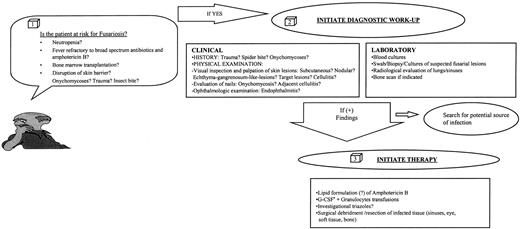 Fig. 5. Algorithm for the diagnosis and management of Fusarial infection. G-CSF, granulocyte colony-stimulating factor.