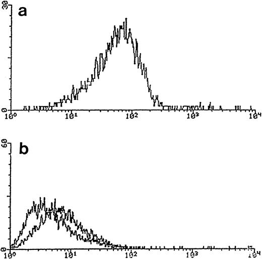 Fig. 5. Expression of CXCR4/fusin on blood DC using MoAb 12G5. Purified blood DC were stained with 12G5 or an isotype (IgG2a)-matched control antibody and analyzed by flow cytometry (see the Materials and Methods). (a) 12G5 (anti-CXCR4/fusin); (b) negative controls without primary antibody (left curve) or with an unrelated, isotype-specific IgG2a (curve on right).