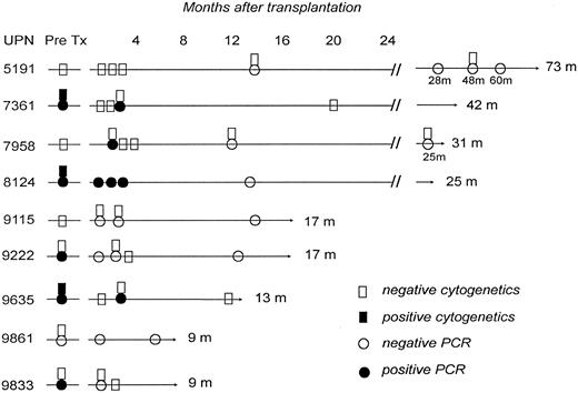 Fig. 1. Results of cytogenetic and bcr-abl gene studies in 9 survivors in remission after an unrelated donor marrow transplant for Ph1+ ALL. m, months.