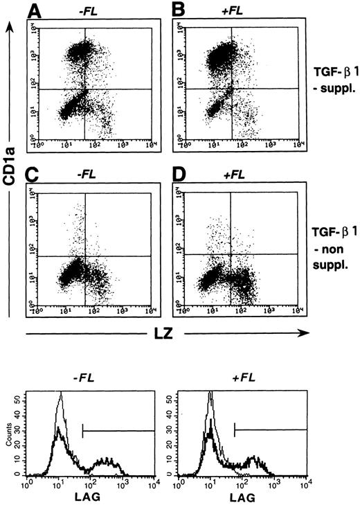 Fig. 5. Correlated expression of CD1a and LZ by cells generated in the presence or absence of FL and/or TGF-β1. Purified CD34+ CB cells were cultured for 10 days in serum-free medium in the presence of the basic growth factor combination GM-CSF plus TNFα and SCF. Parallel cultures were further supplemented with TGF-β1 and/or FL at culture initiation (see the Materials and Methods). Day-10 cells were harvested and combined stained for intracellular LZ and surface-membrane CD1a expression (see the Materials and Methods). Representative diagrams show LZ (x-axis) versus CD1a (y-axis) expression by cells generated in the absence or presence of TGF-β1 and/or FL as indicated. Markers were set according to negative control stainings (see the Materials and Methods). Histograms shown in the lower part are cells obtained from identical culture conditions as described above that were submitted to indirect staining for the BG-associated molecule Lag (as described in the Materials and Methods). Overlay histograms represent Lag stainings of cells generated in TGF-β1 nonsupplemented (faint lines) and TGF-β1 supplemented (bold lines) cultures. Cultures without (left overlay histograms) or with FL supplementation (right overlay histograms) are shown. Flow cytometric analyses show at least 5,000 cells.