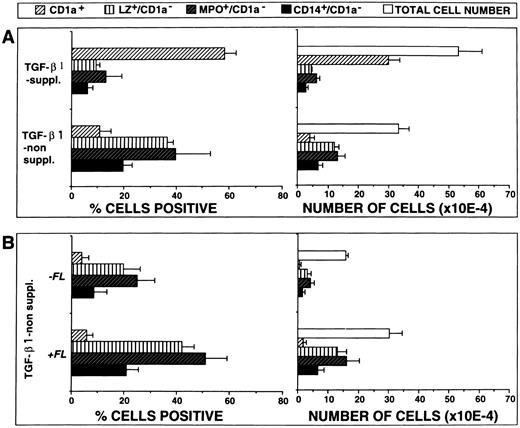 Fig. 6. FL plus TGF-β1 cooperate in stimulating DC generation. (A) Effects of TGF-β1 on cell proliferation and differentiation. Ten thousand CD34+ CB cells were cultured for 10 days in serum-free medium supplemented with the cytokines FL plus GM-CSF, TNFα, and SCF, with or without TGF-β1, and combined analyzed for the expression of CD1a versus either LZ, MPO, or CD14, respectively, as described in the Materials and Methods. Bars represent mean the percentages ± SEM (left-hand side diagrams) and total numbers ± SEM (right-hand side diagrams), respectively, of cells with the indicated phenotypes observed in five experiments. The number of phenotypically defined cells was calculated from the percentage of cells showing the respective phenotype multiplied by the total number of cells in each culture. (B) Effects of FL costimulation in the absence of TGF-β1. Ten thousand CD34+ CB cells were cultured for 10 days in serum-free medium supplemented with the cytokines GM-CSF plus TNFα and SCF, with or without FL, and analyzed by flow cytometry as described above. Bars represent mean percentages ± SEM (left-hand side diagrams) and total numbers ± SEM (right-hand side diagrams), respectively, of cells with the indicated phenotypes observed in three experiments. The number of phenotypically defined cells was calculated from the percentage of cells showing the respective phenotype multiplied by the total number of cells in each culture.