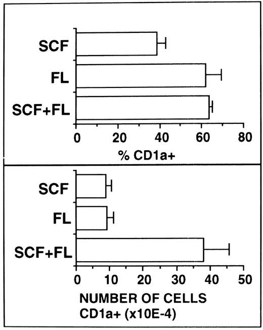 Fig. 7. Comparative analysis of the effects of SCF and FL. Ten thousand CD34+ CB cells were cultured for 10 days in serum-free medium supplemented with the basic cytokine combination TGF-β1 plus GM-CSF and TNFα. This cytokine combination was further supplemented with SCF and/or FL as indicated. Cells were analyzed by flow cytometry for CD1a expression as described in the Materials and Methods. Bars represent mean percentages ± SEM (left-hand side diagrams) and total numbers ± SEM (right-hand side diagrams), respectively, of cells with the indicated phenotypes observed in four experiments. The number of phenotypically defined cells was calculated from the percentage of cells showing the respective phenotype multiplied by the total number of cells in each culture.