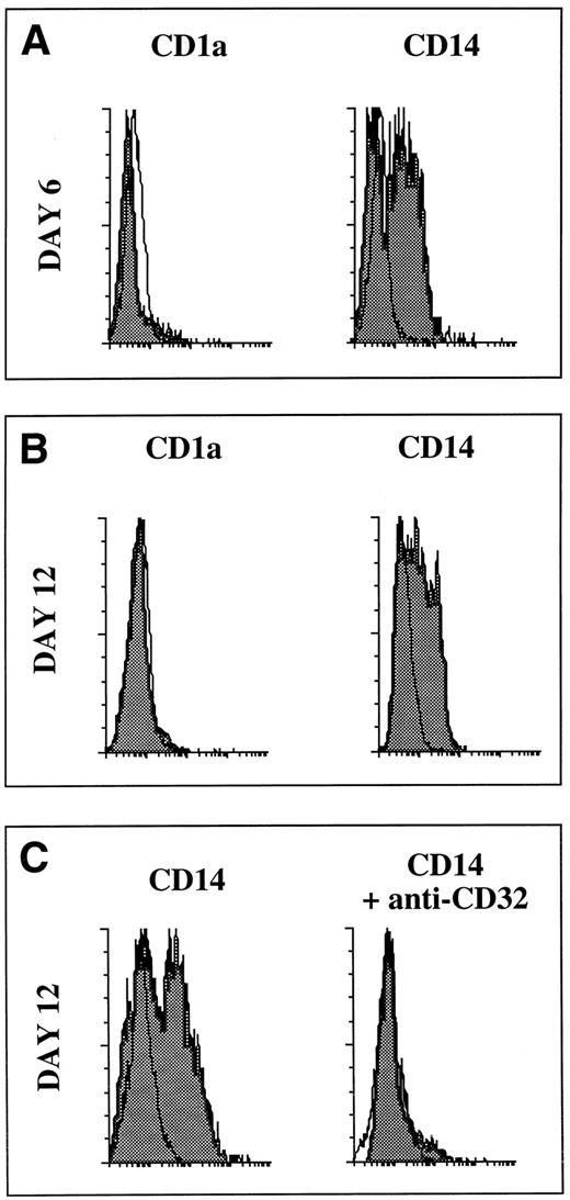 Fig. 10. Only the CD14-derived DCs bind immune complexes. The CD1a- and CD14-derived DC subsets were obtained as described in Materials and Methods and in the legend to Fig 1. At days 6 and 12, DC subsets were recovered and were incubated at 4°C for 15 minutes with 5 μg/mL FITC-coupled streptavidin and 100 μg/mL mouse IgG1 MoAb anti-FITC. (A) Day 6, (B) day 12, and (C) day-12 CD14-derived cells were first incubated for 15 minutes with 50 μg/mL of a blocking MoAb against CD32 followed by 15 minutes with 5 μg/mL FITC-coupled streptavidin and 100 μg/mL mouse IgG1 MoAb anti-FITC. White histograms show FITC streptavidin alone. FITC-coupled isotype match controls were superposable to the white histograms.