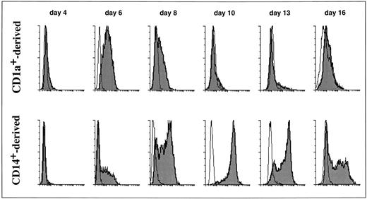 Fig. 3. Differential uptake of FITC dextran by CD1a- and CD14-derived DCs during maturation. Cord blood CD34+ HPCs were cultured in the presence of GM-CSF plus TNFα. After 5 to 6 days, cells were collected and half were processed for double staining, using anti-CD14–PE and anti-CD1a–FITC, and FACS-sorted into CD14+CD1a−. Half of the cells were processed for double staining, using anti-CD14–FITC and anti-CD1a–PE, and FACS-sorted into CD14−CD1a+. Using this procedure, the sorted populations were labeled with PE, thus, avoiding interferences with FITC dextran. Sorted cells were seeded in the presence of GM-CSF plus TNFα (1 to 2 × 105 cells/mL) for 6 to 7 additional days with last medium changes being performed at day 10. At the indicated time points, cells were processed for FITC dextran uptake. Cells were incubated in medium containing 0.1 mg/mL FITC dextran at 37°C for 15 minutes, washed with cold medium, and analyzed on a FACScan. For days 4 and 6, FITC dextran uptake was performed on total populations by double color fluorescence using anti-CD1a–PE or anti-CD14–PE. The same parameters of the FACScan were used during the kinetic. Results are representative of three independent experiments.